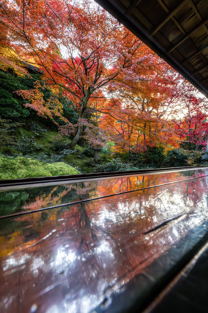 asagi_photo0921's tweet photo. カラフルに染まる晩秋の京都。 https://t.co/0TLElTexPZ