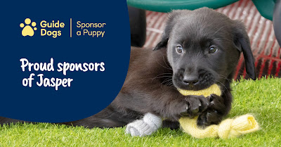 AlanPlace1956's tweet photo. Al's Here at last: My Wife's Legacy https://t.co/fdc1TBTB8W
As we approach #bonfire night, here is a thought, for the price of an hour's #fireworks, you could #sponsor a #guidedog for a year, and know you are helping a #disabled person https://t.co/lNYjnQ4KGE