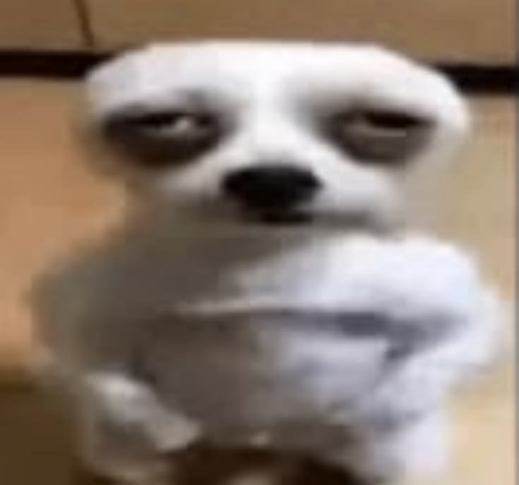 milkkoinzz's tweet photo. oigan plis díganle a esa perra que se calme neta DIOSSS https://t.co/W5fv8duNjj