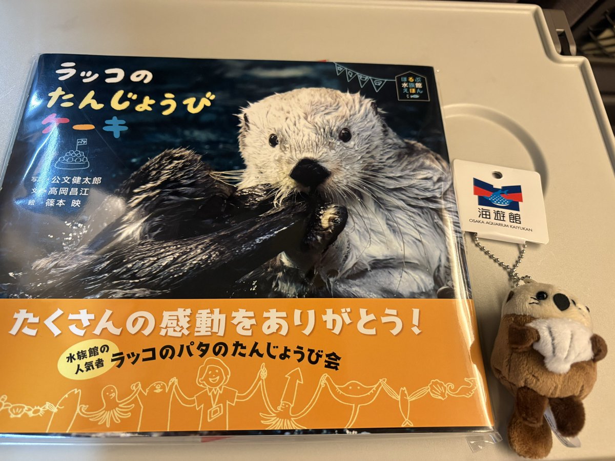 rakko_ka's tweet photo. 帰りましょー🥰

#海遊館
#ラッコのパタさん https://t.co/41zcg0bzCD