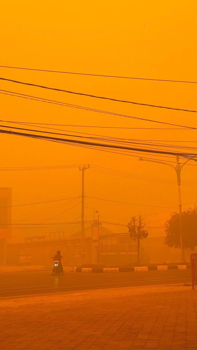 liclerc's tweet photo. Seluruh dunia harus tau.
⠀⠀⠀⠀⠀⠀⠀⠀⠀
13-14 Oktober 2026, situasi yang berlaku di Palangka Raya, Kalimantan Indonesia. https://t.co/REwG0ku7S2