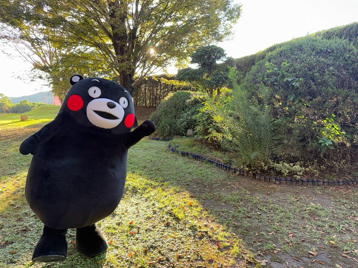 55_kumamon's tweet photo. おはくま～！よ～し、行くかモン☆ https://t.co/4w0D1Njwa4