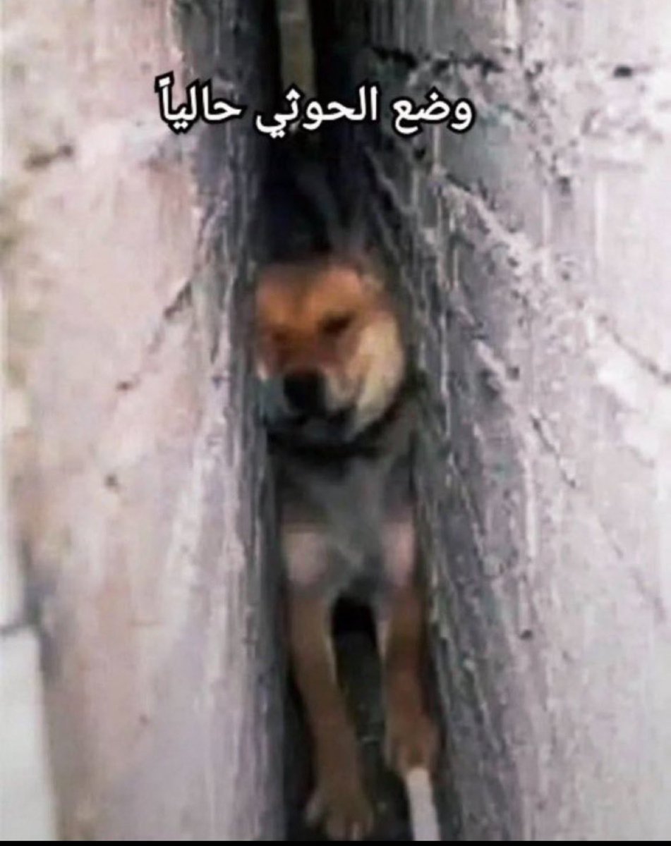 Eloo966's tweet photo. @vjaqkg سد حلقك يالحوثي السعوديه في امن وآمان والله لو ايش ماسويت انك تخسي وتبطي عظم تزعزع الثقه والأمان الي عايشين فيه https://t.co/gzOyzbFlwn