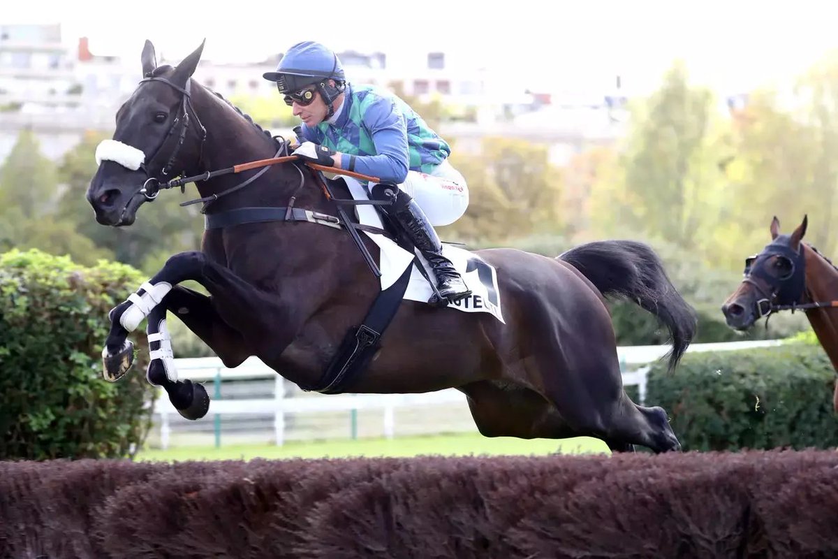 LisaDelfino5's tweet photo. Merci pr ce bel hommage sur le site Equidia,Revivez 3 gds prix de ce champion majestueux🏆Losange Bleu🐎ton coeur s'est arrete a Auteuil&amp;a brise le notre💔qui a tjrs battu pr toi lors de tes exploits.Tu as franchis un dernier obstacle vers l'Infini🌠tu resteras a jamais ds nos ❤ https://t.co/IIX5HOEhZm