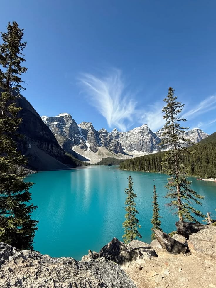 naturebeauty760 tweet picture