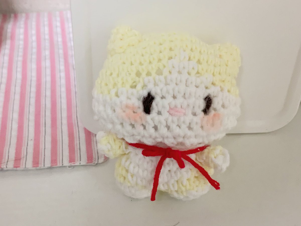 dubu_kitty's tweet photo. 뜨개만 해 https://t.co/3wfko9uD7u