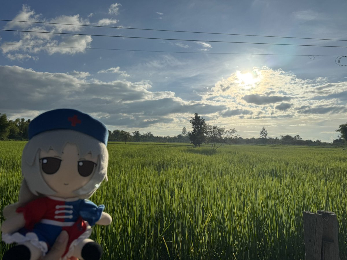 DailyEirinFumo's tweet photo. mmm rice 🌾
#ふもふも #fumofumo #fumo https://t.co/wKntQNZnpO