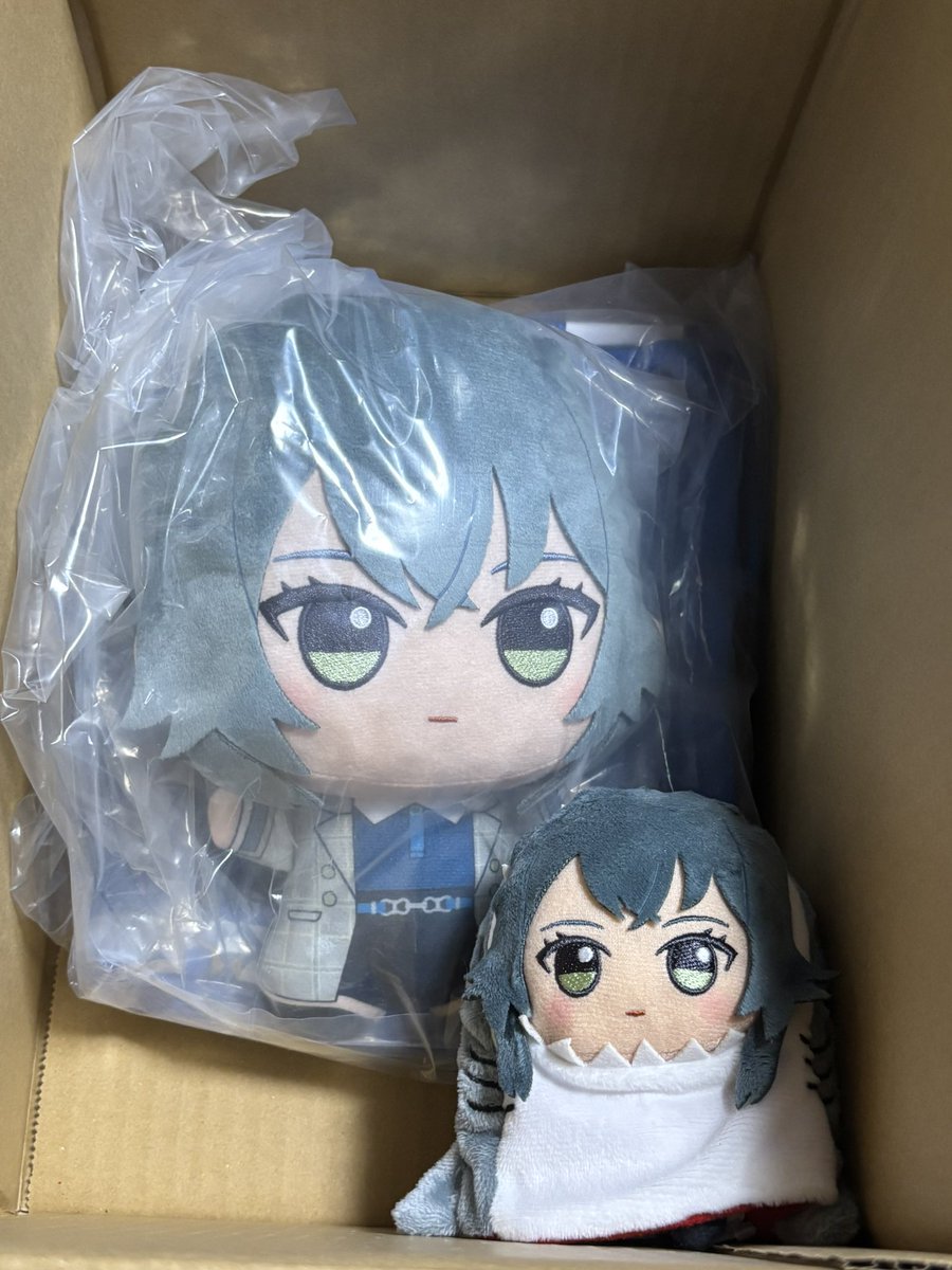Exsan_icepaws's tweet photo. もふぐっと手毬届いたけど案の定クソデカでワロタ https://t.co/tWbV3T68xc