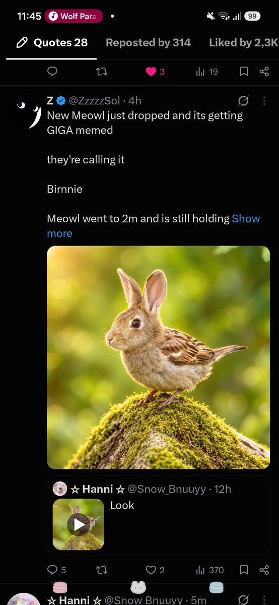 Snow_Bnuuyy's tweet photo. Why are they posting this https://t.co/vmggPxc59A