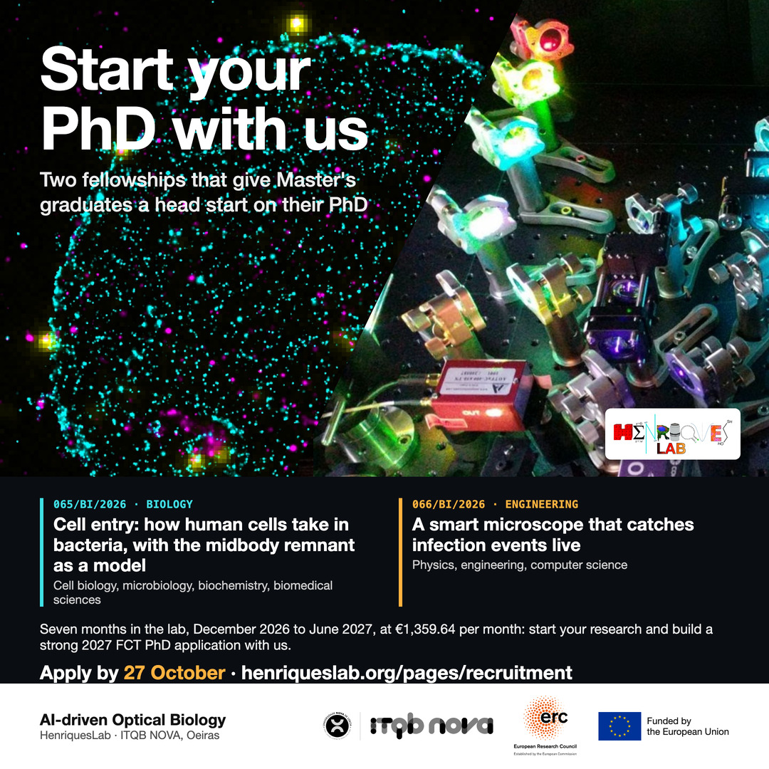 HenriquesLab's tweet photo. 🔬🚀 A head start on your PhD! Two ERC-funded fellowships for Master's graduates at ITQB NOVA, Lisbon: seven months in our lab (Dec 2026 to Jun 2027) to start your research and build a strong 2027 FCT PhD application with us.

Apply by 27 Oct 👇
https://t.co/rpKTZhKyDy https://t.co/qzlgm8sY6r