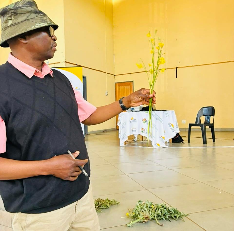 MpuDardlea's tweet photo. The DARDLEA hosted a LandCare Awareness Day focusing on Veld Conditions Improvement for farmers in in Dullstroom, to raise awareness on veld management practices, including rotational grazing, control of invasive alien plants, soil erosion and the rehabilitation of degraded veld. https://t.co/HzFDbYUARB