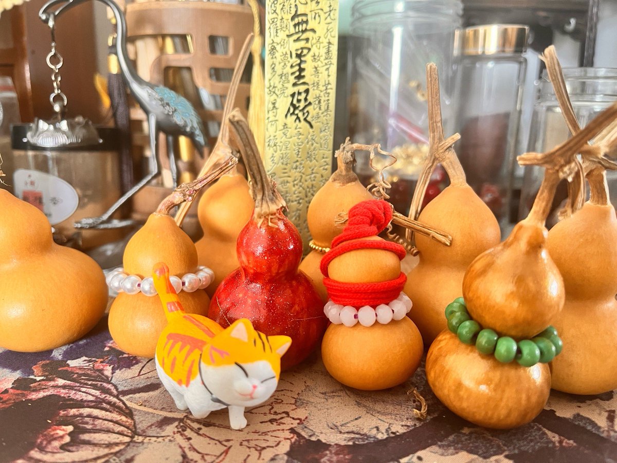 wad8p's tweet photo. [今日谛陕梁咳、心温まる一日になりました]， https://t.co/mIAsSW8GAD