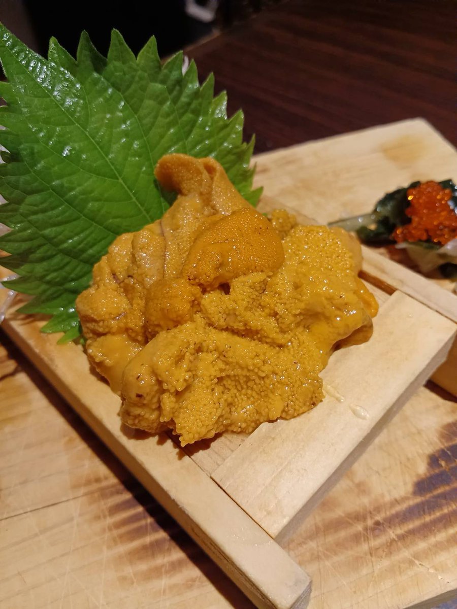 mio51362557's tweet photo. 本日の晩酌
残念ながらなしでございます
なので昨日行っ��居酒屋の写真
刺身がなんと500円でおかわりが何度でも出来てしまう神キャンペーン
おか���でうになんか頼んでしまう始末
飲みすぎ注意ですね https://t.co/PAOCVODJ1q