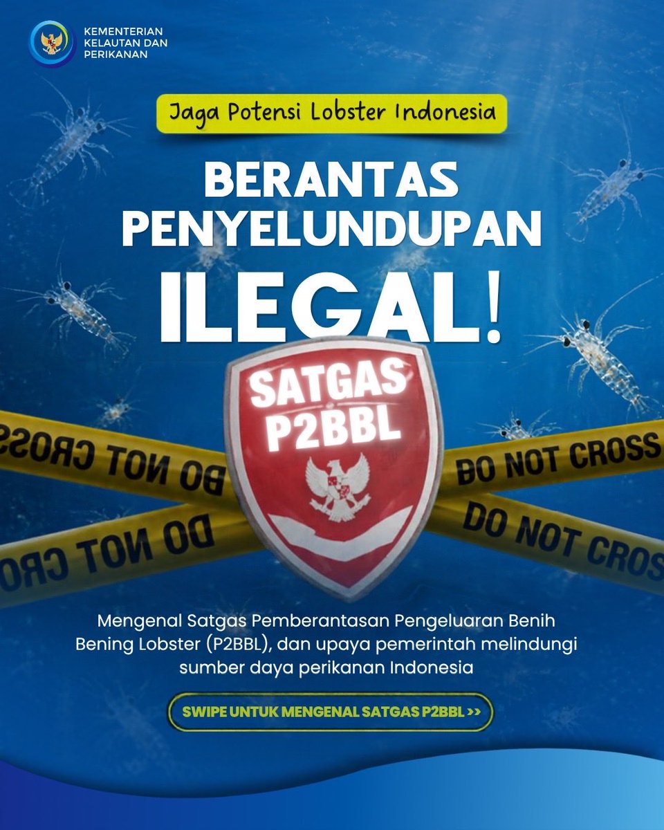 kkpgoid's tweet photo. Stop penyelundupan BBL secara ilegal!

Satgas Pemberantasan Pengeluaran Benih Bening Lobster (P2BBL) berdasarkan Perpres No. 69 Tahun 2026 dibentuk untuk memperkuat pengumpulan informasi, pencegahan dan penindakan, serta penegakan hukum terhadap pengeluaran BBL secara ilegal. https://t.co/EEDog9WfIR
