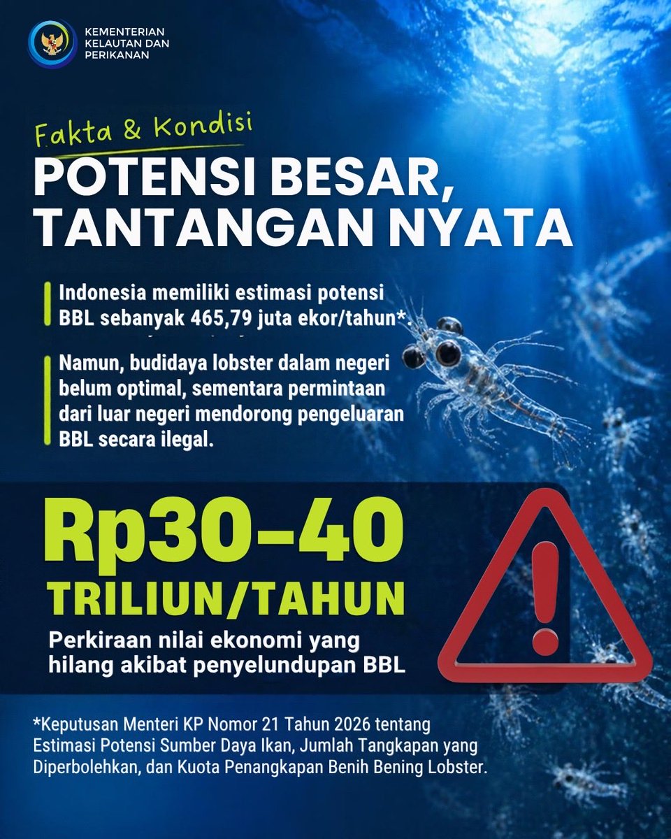 kkpgoid's tweet photo. Stop penyelundupan BBL secara ilegal!

Satgas Pemberantasan Pengeluaran Benih Bening Lobster (P2BBL) berdasarkan Perpres No. 69 Tahun 2026 dibentuk untuk memperkuat pengumpulan informasi, pencegahan dan penindakan, serta penegakan hukum terhadap pengeluaran BBL secara ilegal. https://t.co/EEDog9WfIR