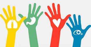 SConfirmado2's tweet photo. Día Mundial de la Donación de Órganos, Tejidos y Trasplantes https://t.co/5X02GnEApk https://t.co/zxzsIZdFFj