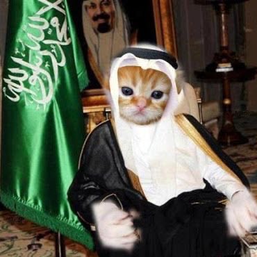 511oiii's tweet photo. اول مره اتكلم في X بس عشان آهين الصهاينه https://t.co/DV3F2hrXmD