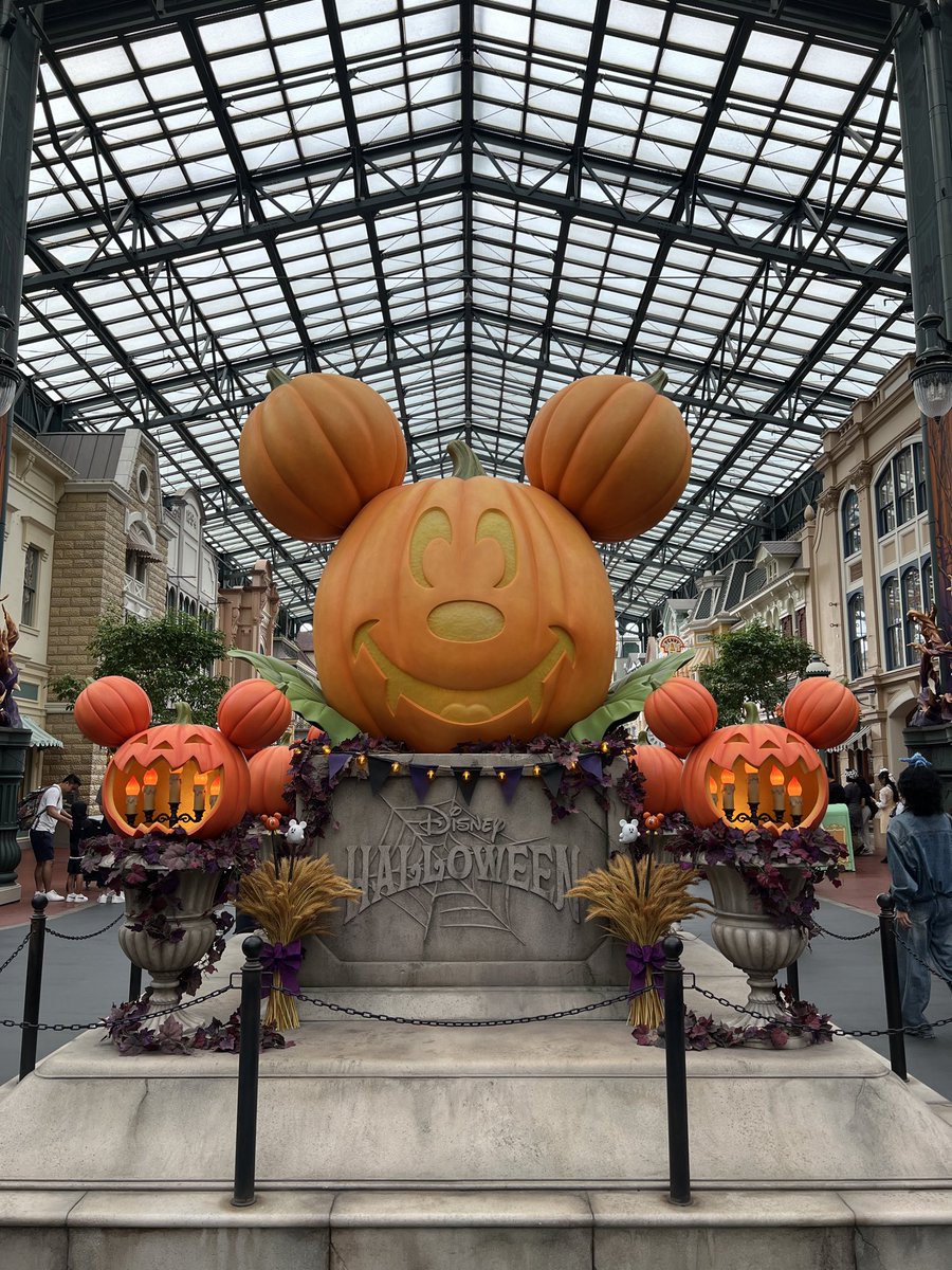 nossan0521's tweet photo. #ハロウィン の時期にどうしても行きたくて１人で #ディズニーランド に行ってきました🎃初めて始発で #ランド に行ったかも🚃ハロウィンパレードのDPAもGETできたから地蔵せずにのんびり楽しめました🤭夜は別の予定があるから17:30にはランドを出発💨やりたかった事全部できて大満足♪ https://t.co/YaBXqOrv7y
