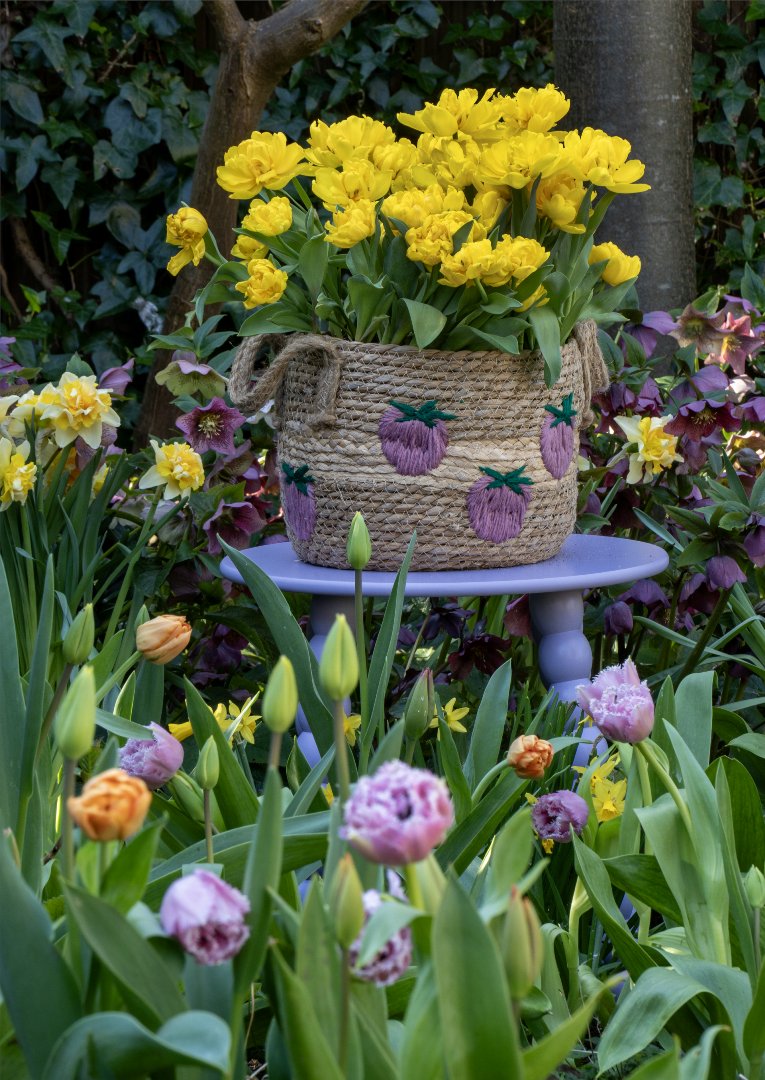FlowerbulbsCom's tweet photo. Spring begins long before the first flowers appear. Plant flower bulbs in the fall and enjoy tulips, daffodils, crocuses, and other colorful blooms when warmer days return. #flowerbulbs #springgarden #springflowers #gardeningtips #fallplanting https://t.co/vjX0JgwXDK