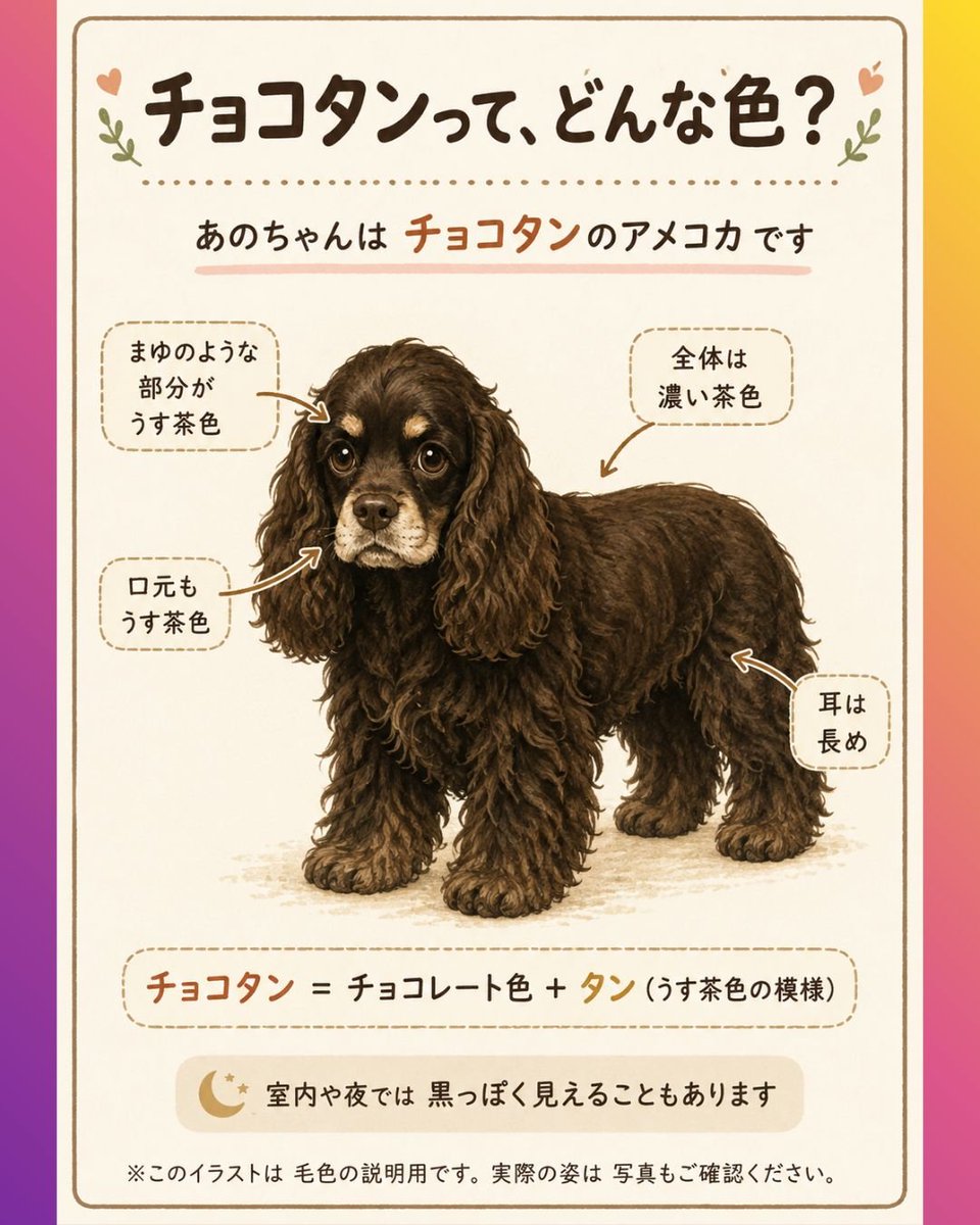 ano_mama10150's tweet photo. あの
元気なの❓
パパとママの事忘れないで❗
あの
必ず迎えに行くから待ってて
#アメリカンコッカースパニエル
#あの行方不明
#拡散お願いします
動物病院関係者の方
トリマーさん
もしかして、見たことないですか❓
散歩してる所見かけてないですか❓
教えて下さい🙇

あの
大好きだよ😘 https://t.co/XquVUKTSdM
