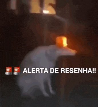 DARKKKKZ7's tweet photo. @Absolutebrazil resenha ta light ainda https://t.co/Syq4lRS5he