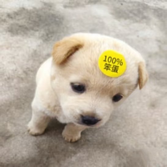 twenty45061049's tweet photo. 我心中的
艾伦·杭特概念
有镇·哈特概念
两个人都是（恋爱中的）笨蛋
#플래시라이트 #FlashLight https://t.co/zKkYJMIRhb