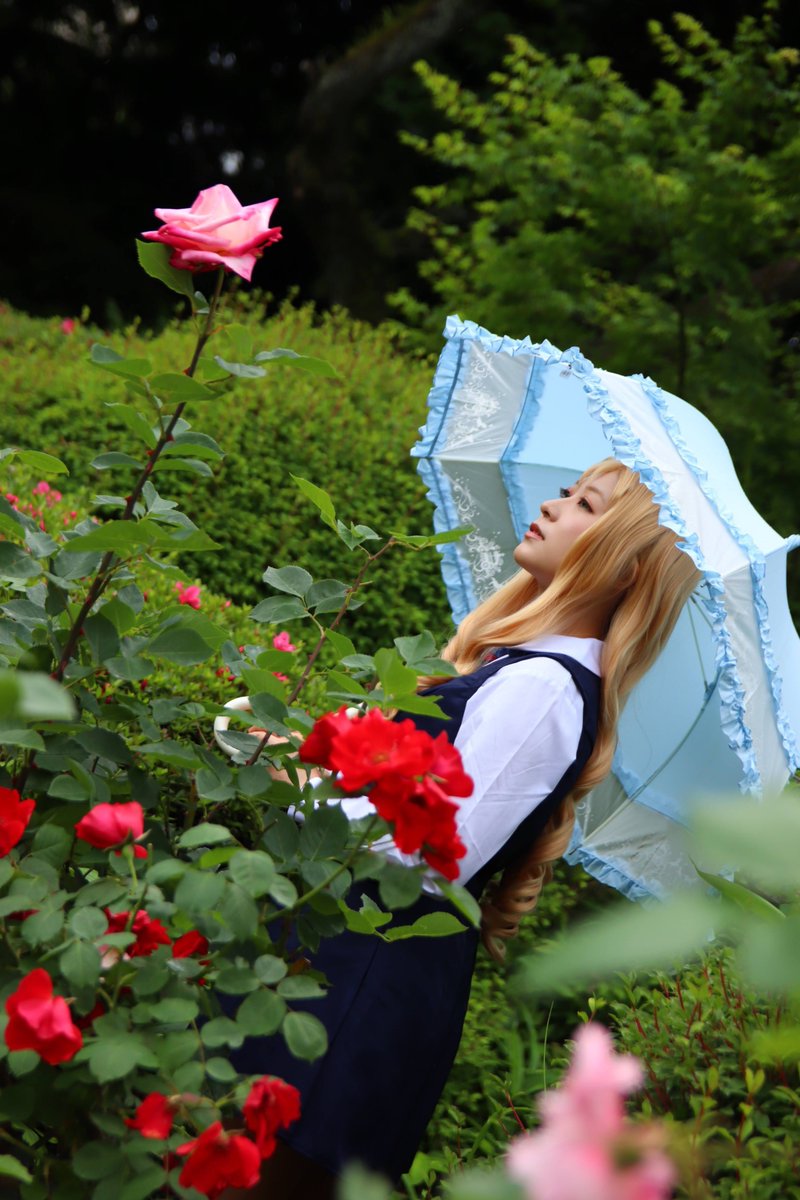 mizu1511co's tweet photo. マリー🌹 https://t.co/qvLIcoabxO