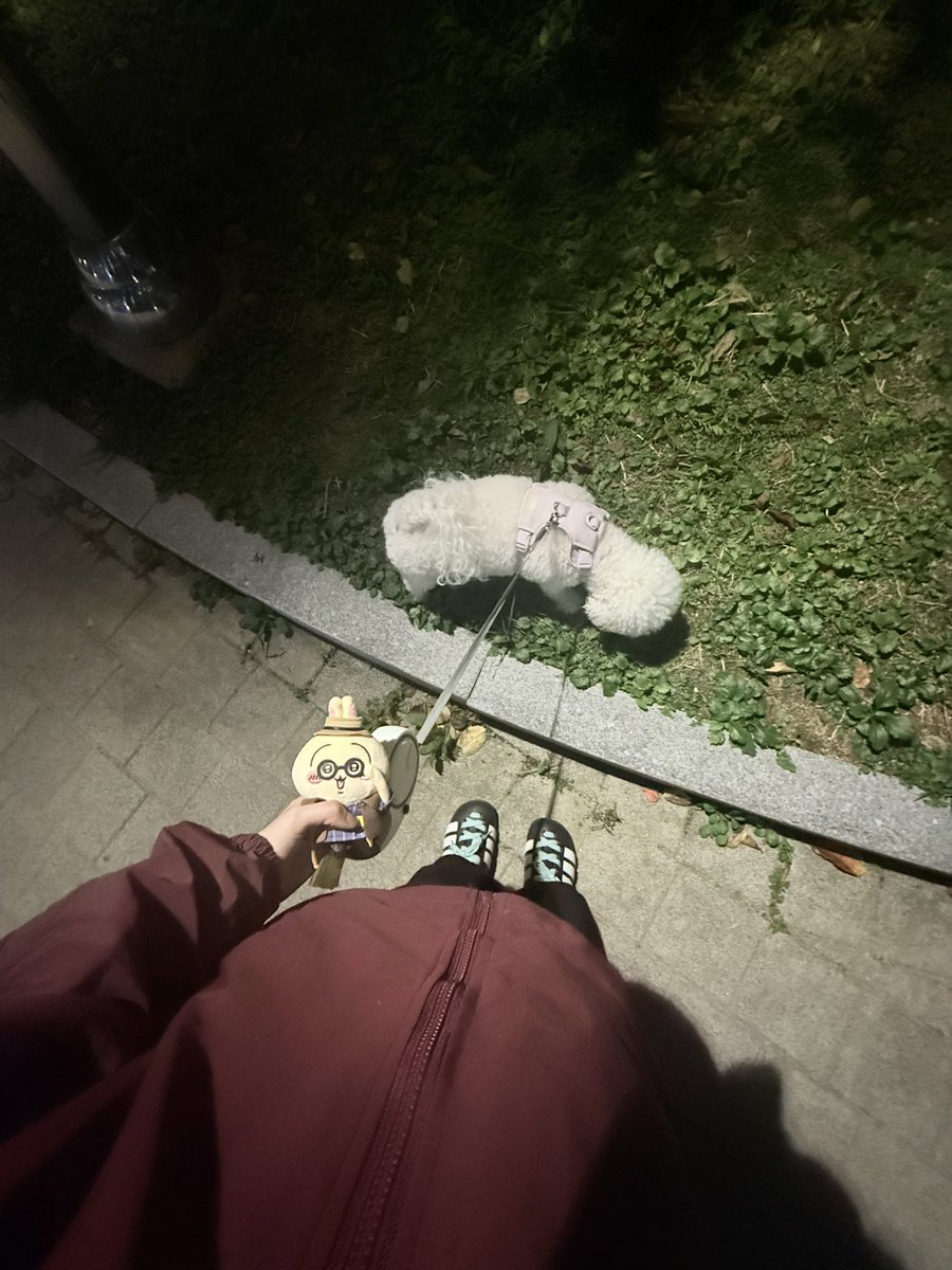 h8rnku's tweet photo. #먼작귀트친소 #치이카와트친소 #먼작귀_트친소 #치이카와_트친소 
지뢰 제외 치이카와계 모두 찾아갈게용♡ https://t.co/iudK1C6ENm