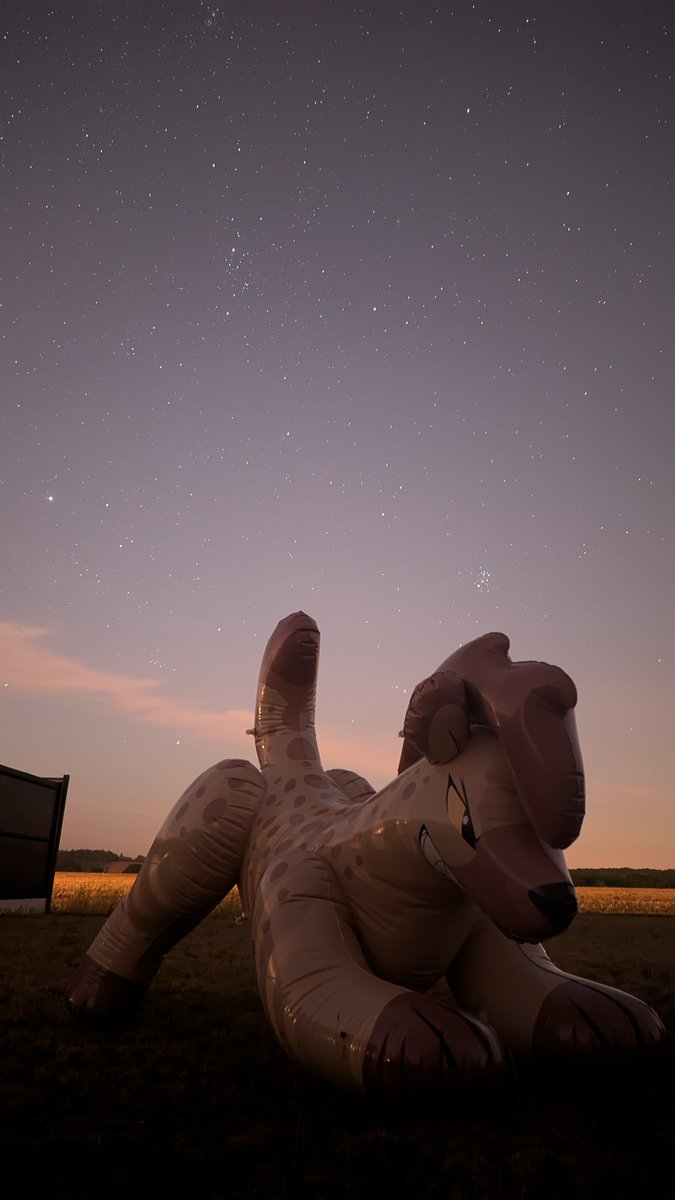 AmsterdamShosu's tweet photo. 🩷 Thank you all for submitting your photo's
🔔The votes are open for #ShosuSpotlight     

You sent us your all-time favourite inflatables😍 and we loved them ALL!!

📝Now it’s your turn: Vote in the poll until Monday 12:00PM CET  
🏆The winner of this week #ShosuSpotlight 

Which picture is your favourite?
1. Aliya under the stars ✨
2. Bunny Roll in action 🐰
3. Wispy on the beaches of Mallorca🏖️