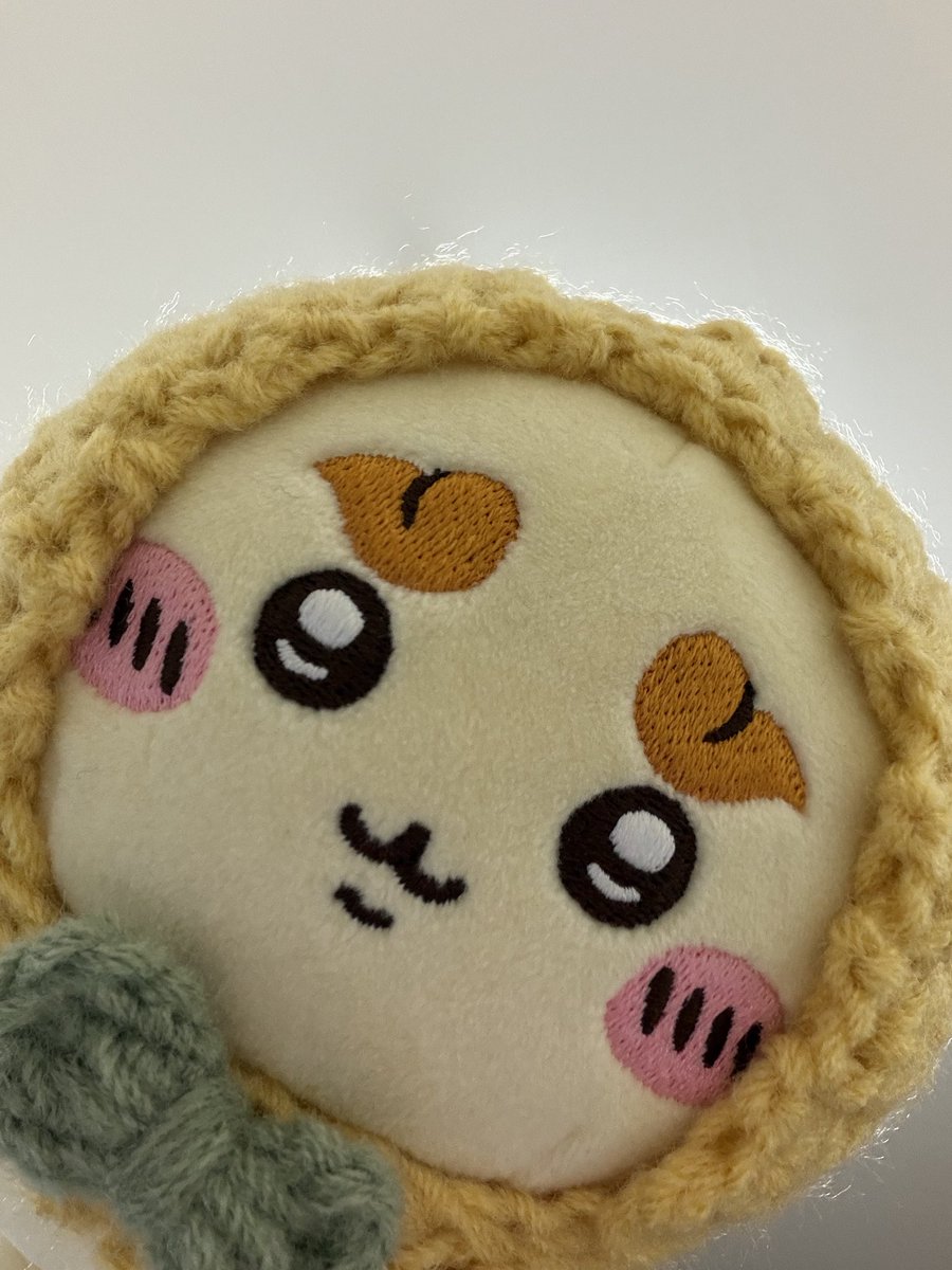 fourshisatimes's tweet photo. 🦁: 날씨가 추으니 따둣하게 입는 것을 추천함니다~ https://t.co/5UlpCe8GV0