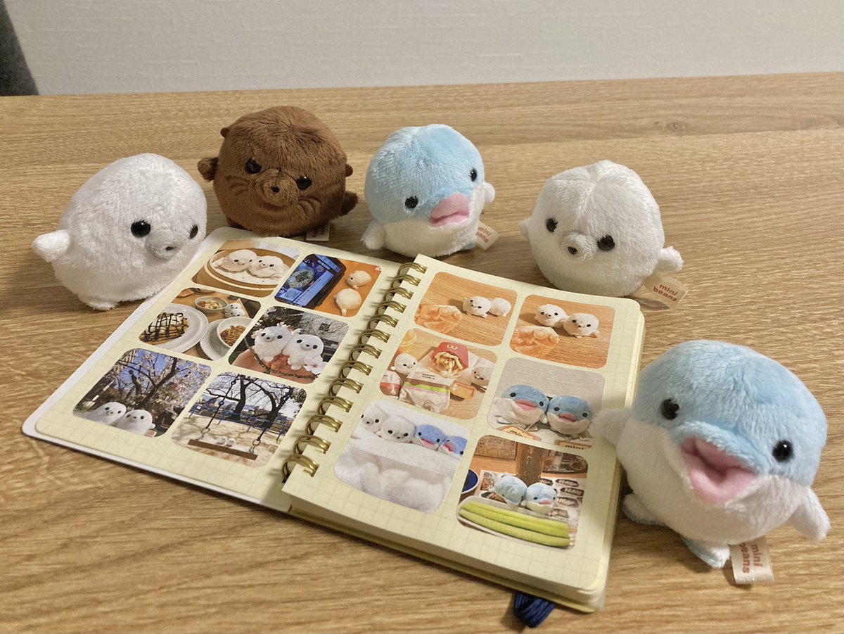 qyfcrx's tweet photo. こちら真似させていただきました…！

形に残してかわいい思い出たちをいつでも振り返られるのがとっても素敵🥹❣️

(問題あれば削除いたします🙇‍♀️) https://t.co/PCRocc7rMv