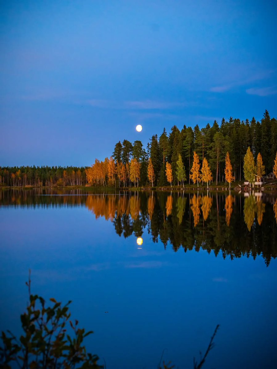 DiscoverFinland's tweet photo. As the first snows have arrived in Finnish Lapland, the season for lakeside reflections will end. Our Wednesday afternoon selection is a set of autumnal reflections. 

Photos shared on IG by anninnature, @PauliinaPhotog1, miunluonto, and natureshotsbyida:

https://t.co/s5cQvxmUkY https://t.co/wedxjKRYqt