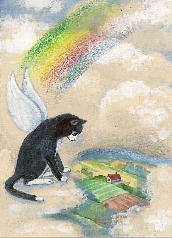 LuciaVeres56172's tweet photo. @gregcatarino1 "If love could have saved you, you would have lived forever." – Unknown https://t.co/rMvB9yBv39