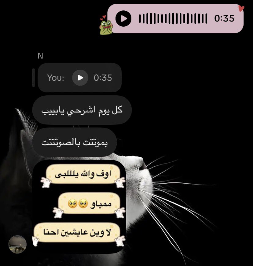 doddo070's tweet photo. وربي قد البحر وسمكااتو https://t.co/Jf7itDZ3mB