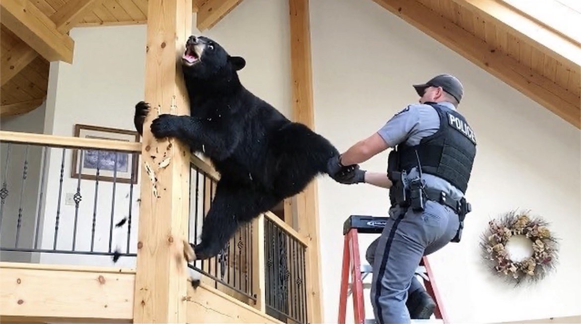 bearlyable2's tweet photo. Heeeeeeelp!!! @DogOutOfControl called the cops on me!!!!! https://t.co/LvsK8yuIju