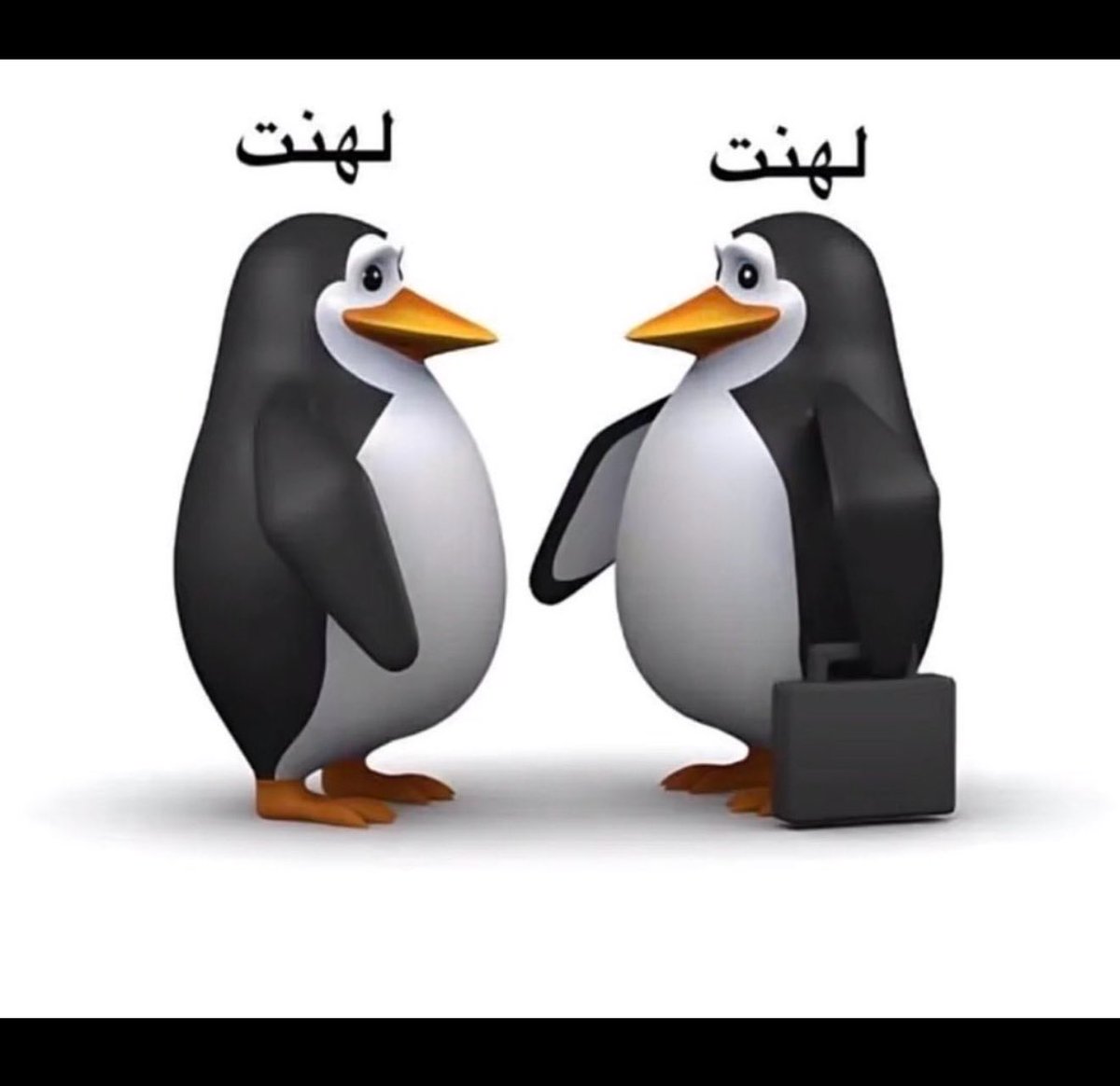 Moonrboo's tweet photo. @imy2qiL الحسابات الصفرية مركز الدفاع الاول https://t.co/mhdOC9bsHb