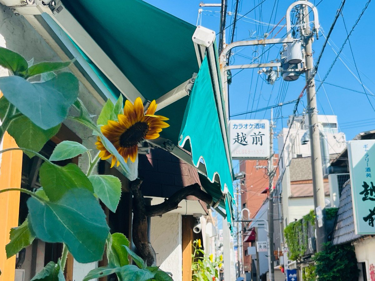 Levelf5_5's tweet photo. [缺讣拐]をめぐる小さな冒険、日常の何気ない瞬間が特別に輝く https://t.co/HQ4B3KwOx9