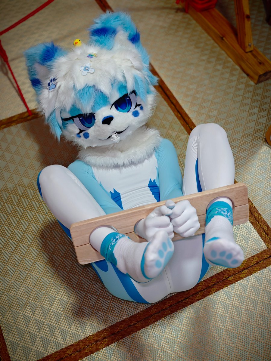 dalingdong_qwq's tweet photo. 干什么！快放开我！！！你的手在……摸哪里！！！
摄影：@Areaylar11 https://t.co/eGQgntYlAd