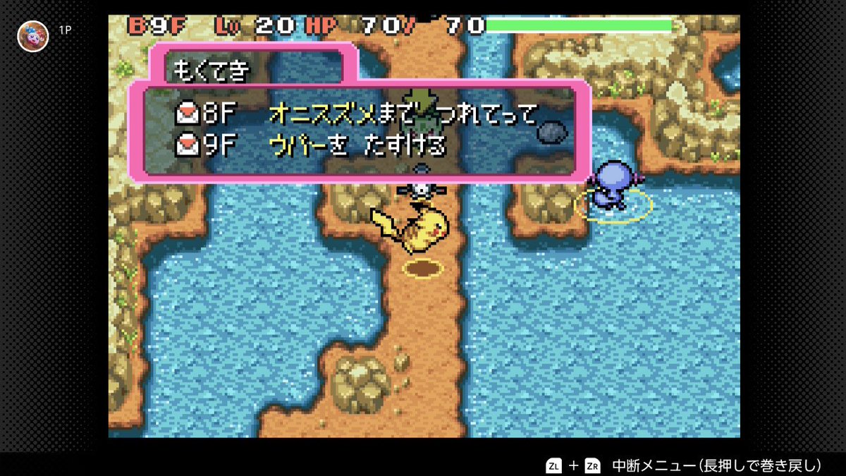 ab_beach64's tweet photo. 依頼者が声掛けられない位置に居るからって石を投げるのは最低だけど、水面でうろうろするのもやめてほしい😇 https://t.co/TvH4sdpvfZ