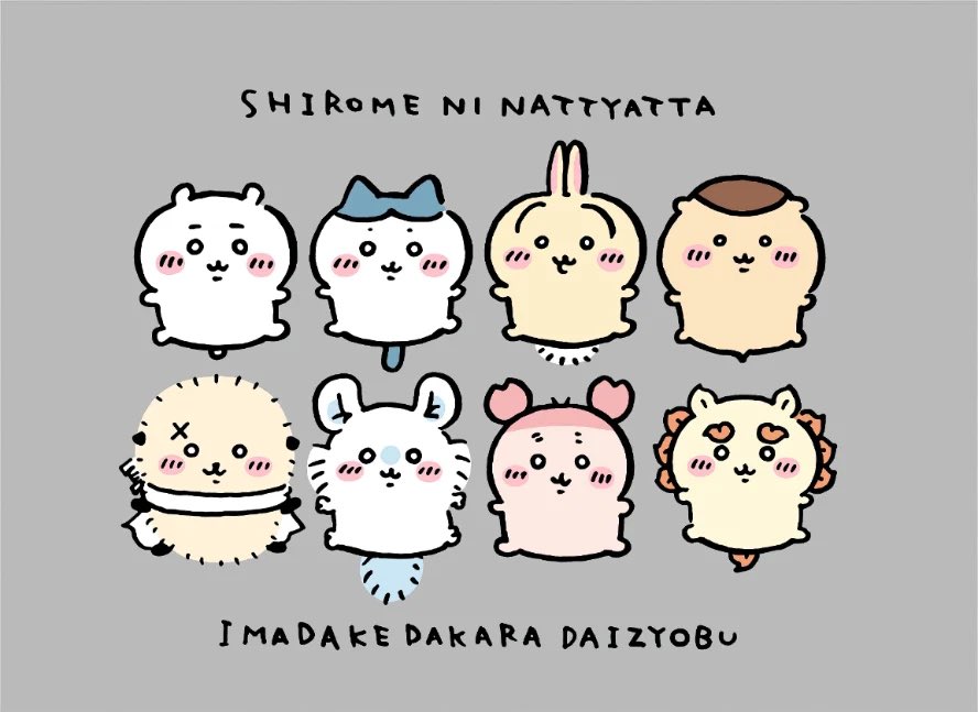 mybabyshisa's tweet photo. เดี๋ยวมาเขียนแนะนำน้องๆแต่ละคน+เกร็ดเล็กๆน้อยๆของทุกคน อยากอ่านคนไหนกันเป็นพิเศษกันก่อนไหมคับ https://t.co/DhDxDZVVTJ