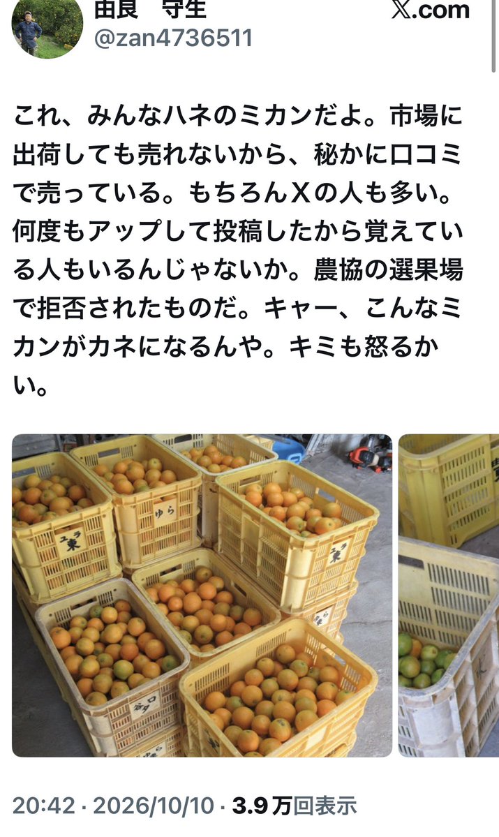 POP13736388's tweet photo. 米だけじゃなくみかんも農協と市場でも出荷拒否されたのかよ…出荷できない農作物をSNSでストーリー付けて売るって何よ
買いたいと言う方も言う方だよ
理解できない https://t.co/n9DqzLQZyk