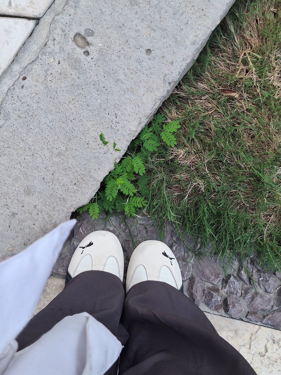 honeymoon4y's tweet photo. My Day 🫧🥼 https://t.co/8R3XOQemCx