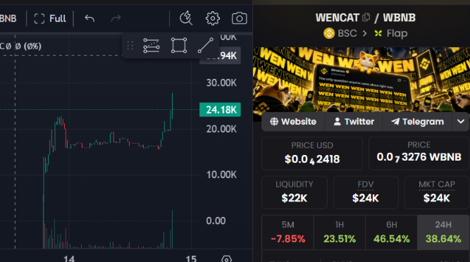 WenCat_'s tweet photo. @Binance_intern The potential of $WENCAT can't be hidden forever. 

Soon, everyone will see what we've been seeing all along.

The only question is WEN? 🚀 https://t.co/FdaVh9ynWa