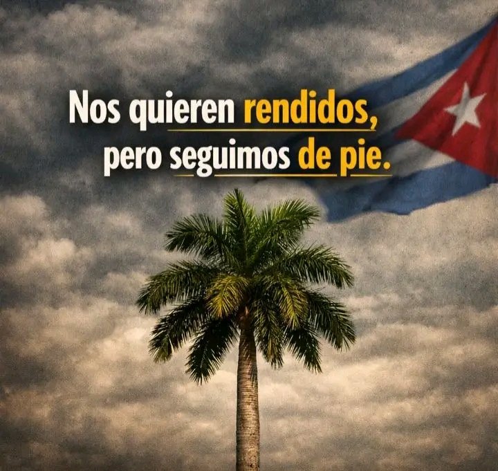 ariannyflavi's tweet photo. ‼️Resistir es respirar con el alma encendida‼️💪🫡✊️🇨🇺 https://t.co/m7QB7GBkkz
