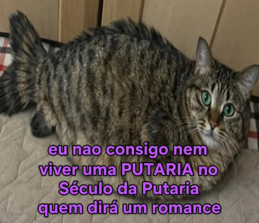 odeiootaco's tweet photo. https://t.co/ZbH8bPsTE3