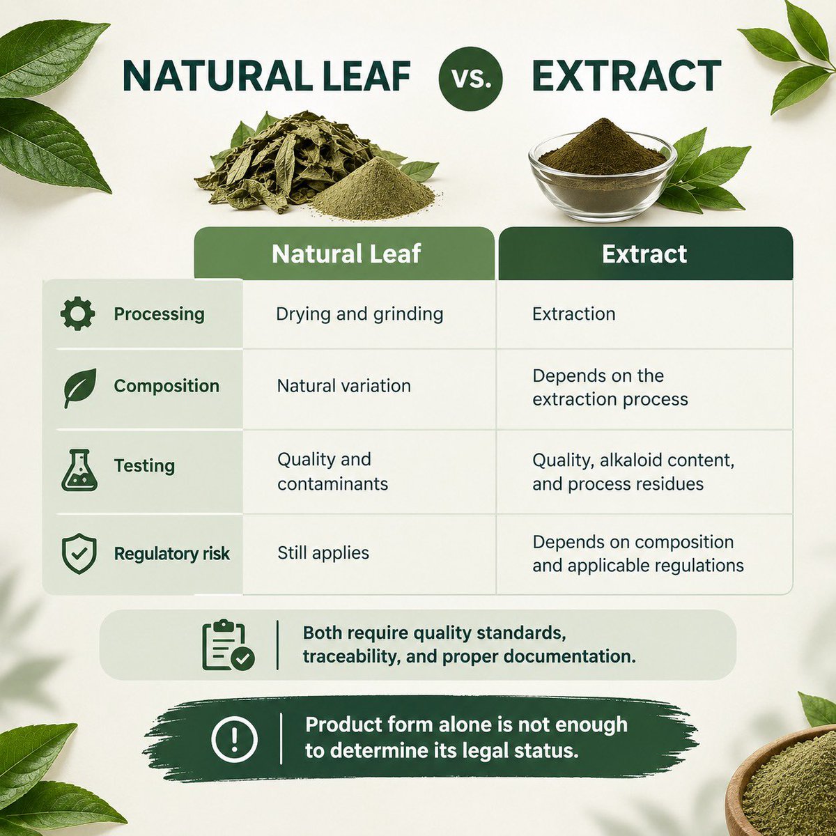 Magictree_K's tweet photo. So, what do you think?

Feel free to share your thoughts in the comments section.

If you have any questions, contact us via DM or visit our website directly at 
https://t.co/dscp9aA5Px.

#magictree #kratomnaturalleaf #kratomextract https://t.co/2uGV6U912g
