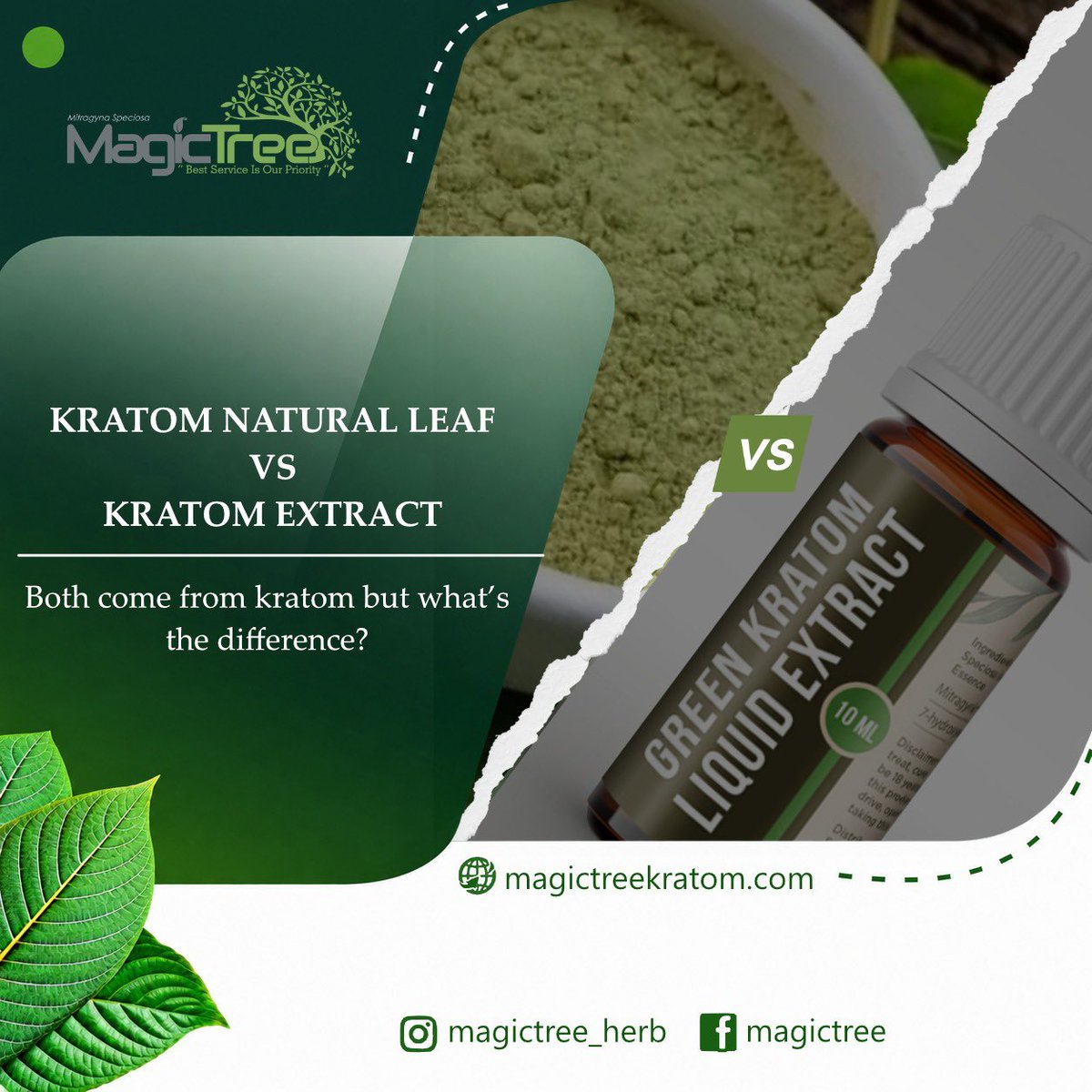 Magictree_K's tweet photo. So, what do you think?

Feel free to share your thoughts in the comments section.

If you have any questions, contact us via DM or visit our website directly at 
https://t.co/dscp9aA5Px.

#magictree #kratomnaturalleaf #kratomextract https://t.co/2uGV6U912g