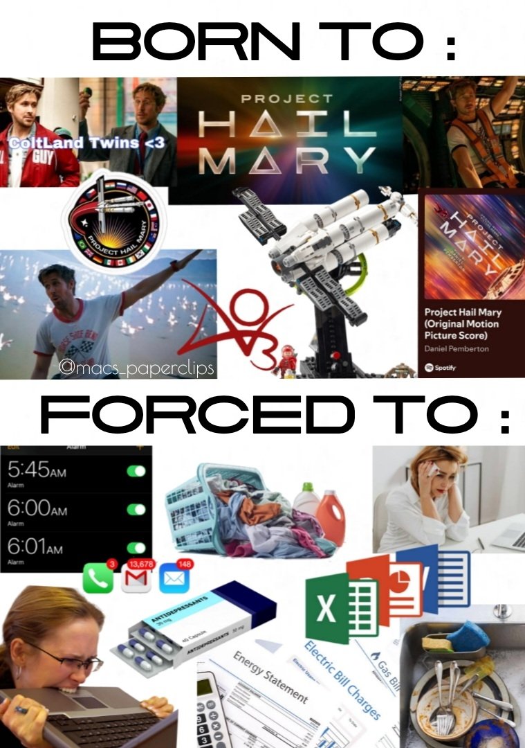 macs_paperclips's tweet photo. "Stupid humanity. Getting in the way of my hobbies."

#ProjectHailMary https://t.co/oJL1hSDeS0
