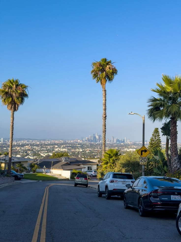 onllycutestuff's tweet photo. Los Angeles https://t.co/WD8jnWAwzD