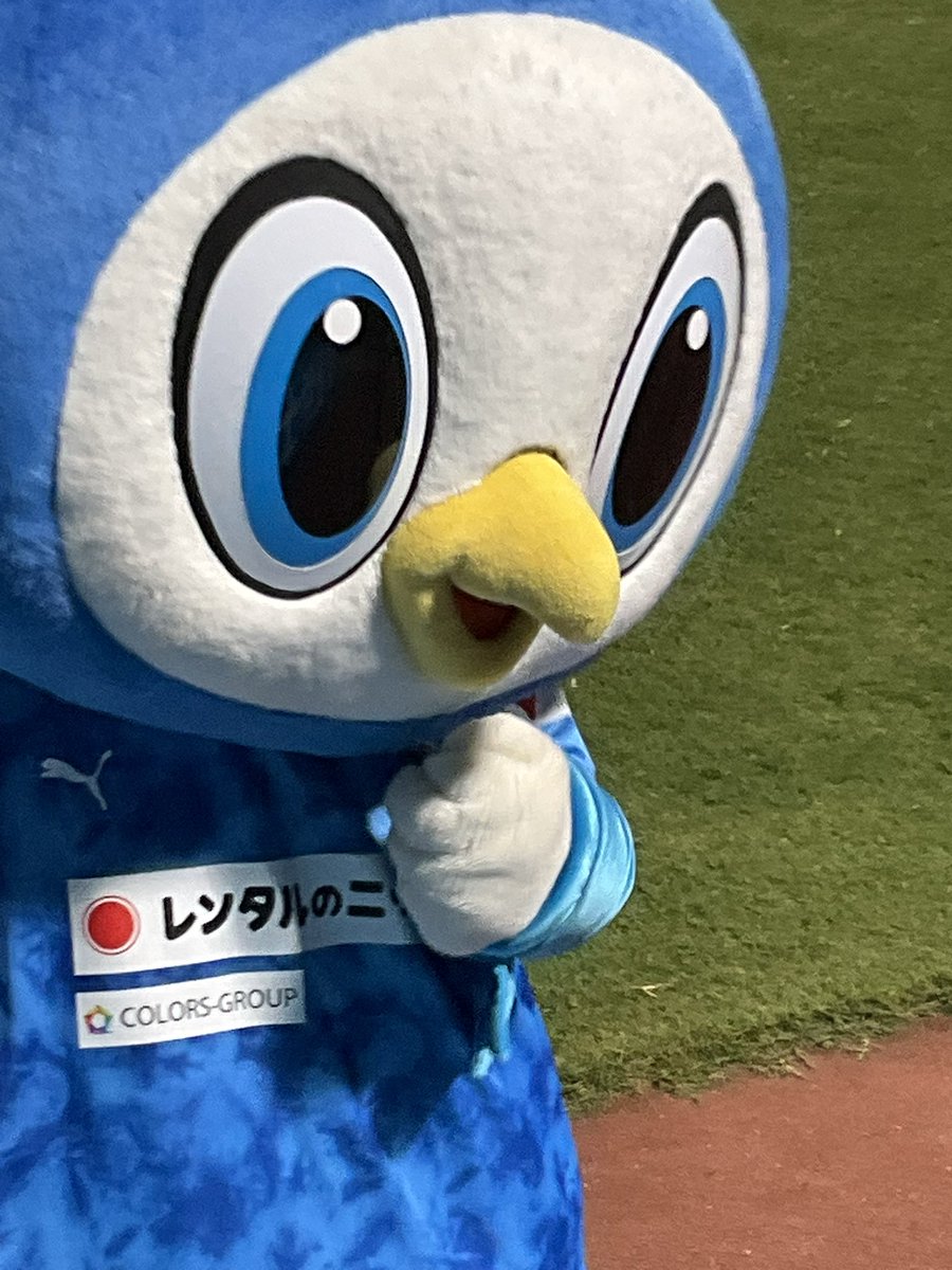 MAKIGAME_KF's tweet photo. フリちゃんの写真撮るの下手過ぎ選手権😂😂😂

#フリ丸 👽
#フリちゃんかわいいよフリちゃん
#カワイイは正義

#横浜FC
#yokohamafc https://t.co/UDvH08MaOf